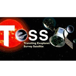 Meet your Posher, Tess